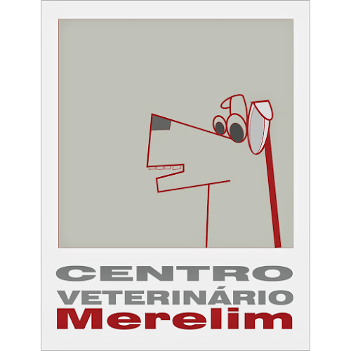 Avaliações doCentro Veterinário de Merelim em Braga - Veterinário