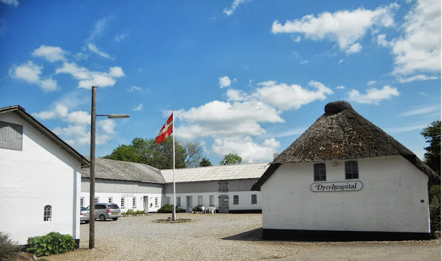 Aabenraa Hestehospital