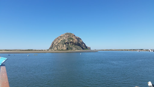 Grocery Store «Albertsons», reviews and photos, 730 Quintana Rd, Morro Bay, CA 93442, USA