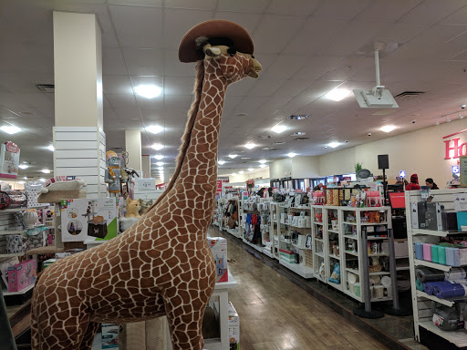 Department Store «HomeGoods», reviews and photos, 29 High Ridge Rd, Stamford, CT 06905, USA