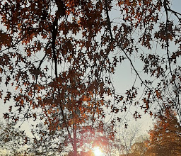 Marienbergpark-Weiher photo