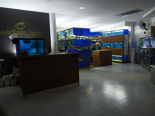 Wildfish_bcn - Caldes de Montbui