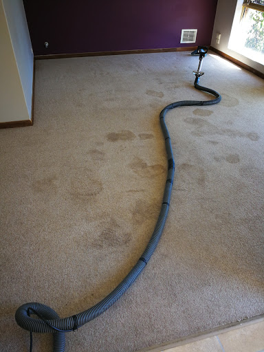Wilton Carpet and Upholstery Cleaning Service