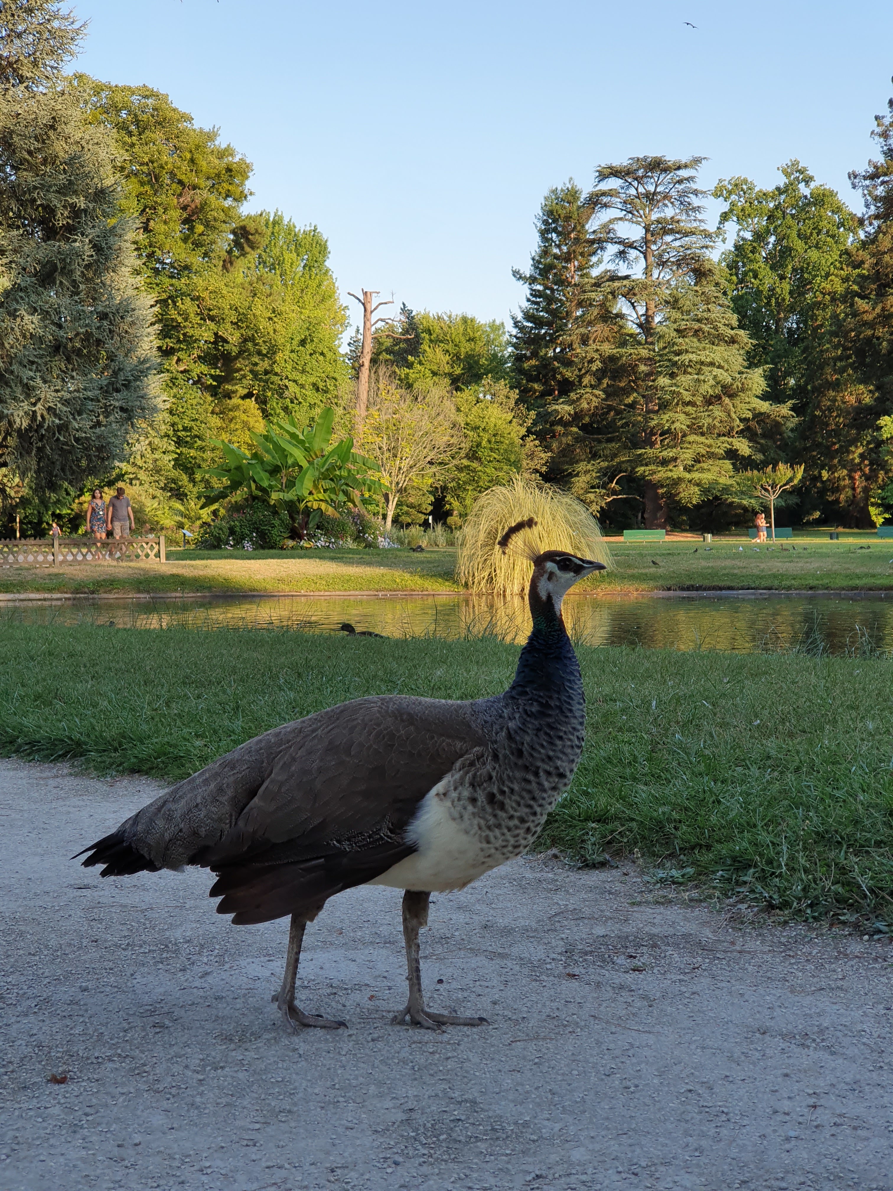 Photo n° 3 de l'avis de Guillaume. fait le 03/08/2019 à 21:31