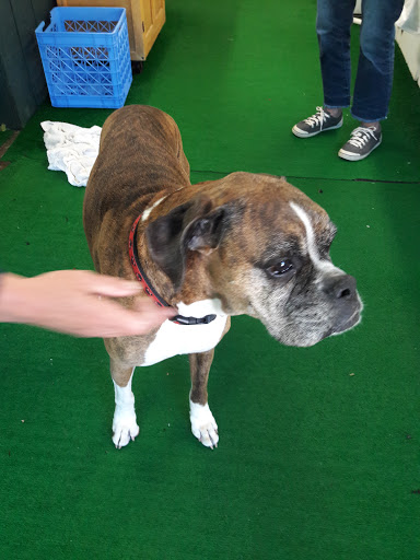 Seafood Market «Parsons Lobsters», reviews and photos, 64 Eagle Lake Rd, Bar Harbor, ME 04609, USA