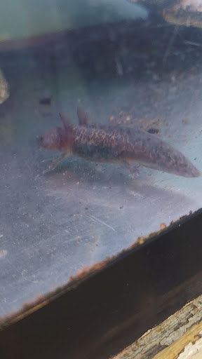 Pet Store «Teske Pet & Garden», reviews and photos, 2423 16th St, Moline, IL 61265, USA