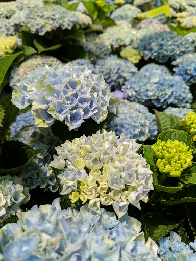 Home Improvement Store «The Home Depot», reviews and photos, 475 Commack Rd, Deer Park, NY 11729, USA