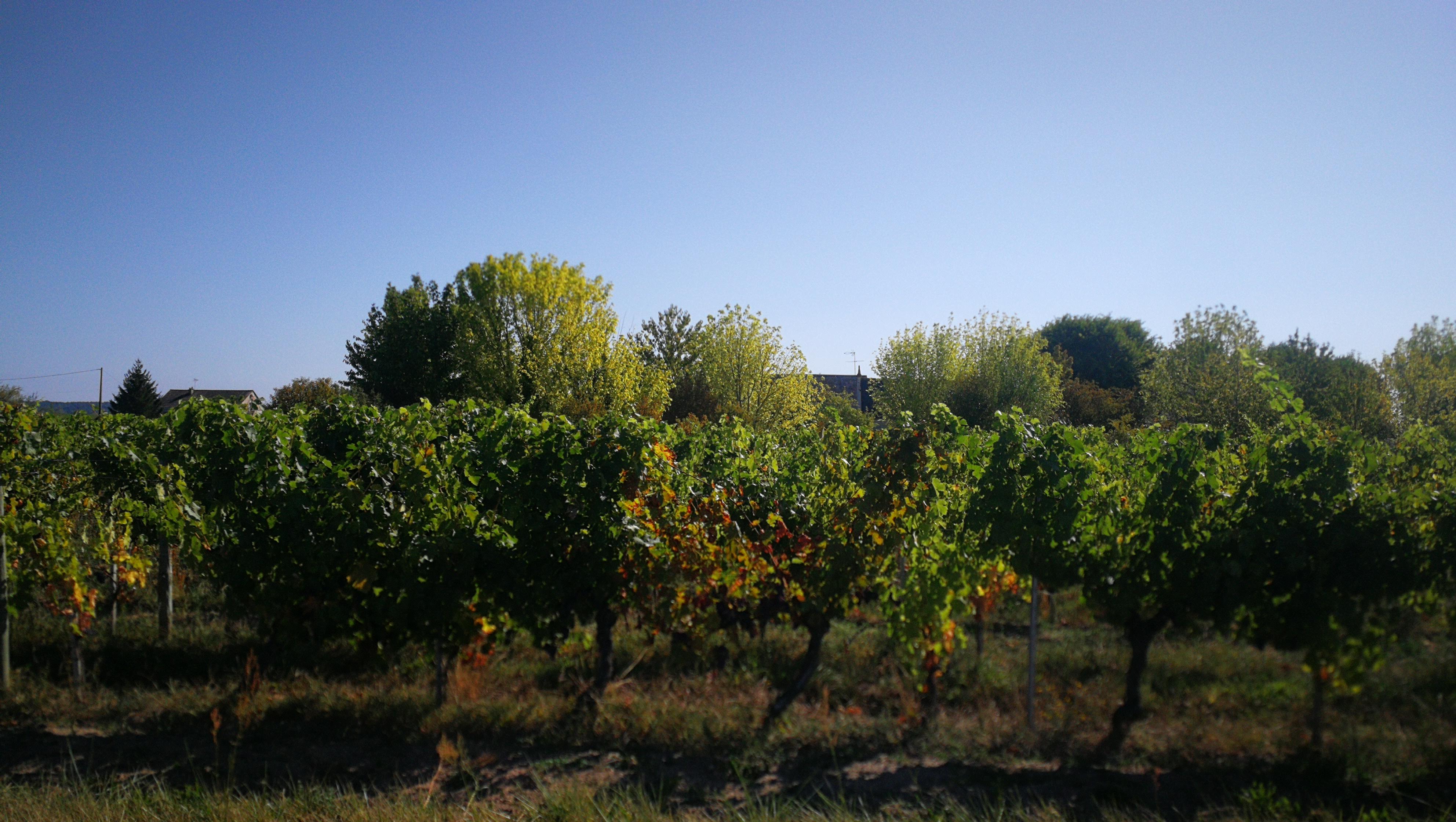 Photo n° 2 de l'avis de Delphine.e fait le 14/09/2019 à 22:02