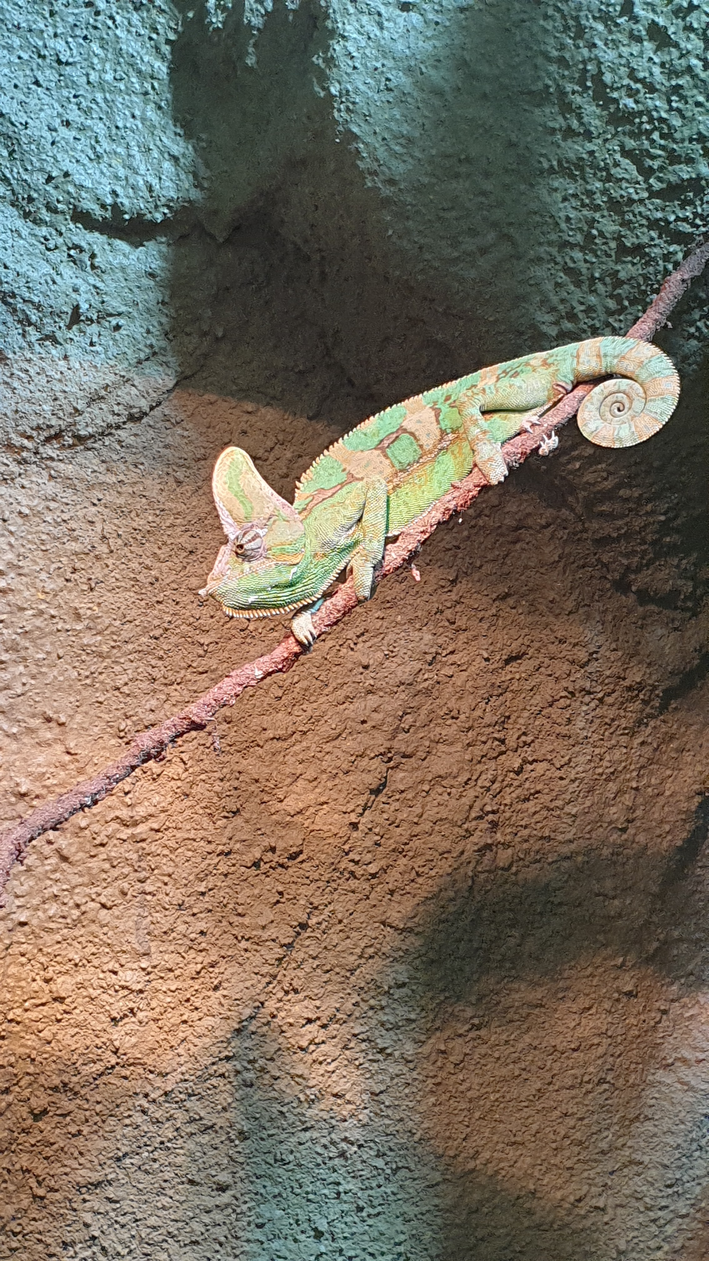 Photo n° 2 de l'avis de Laurent.o fait le 24/10/2021 à 17:02