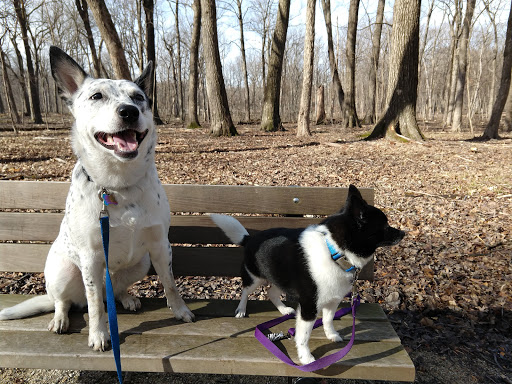 Nature Preserve «Captain Daniel Wright Woods Forest Preserve», reviews and photos, 24830 N St Marys Rd, Mettawa, IL 60045, USA