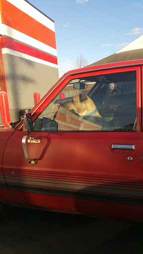 Auto Parts Store «AutoZone», reviews and photos, 5167 Murfreesboro Rd, La Vergne, TN 37086, USA