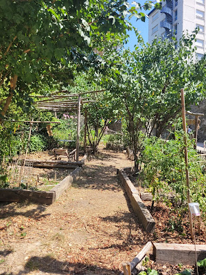 Le Jardin du Carr' Hédas à Pau