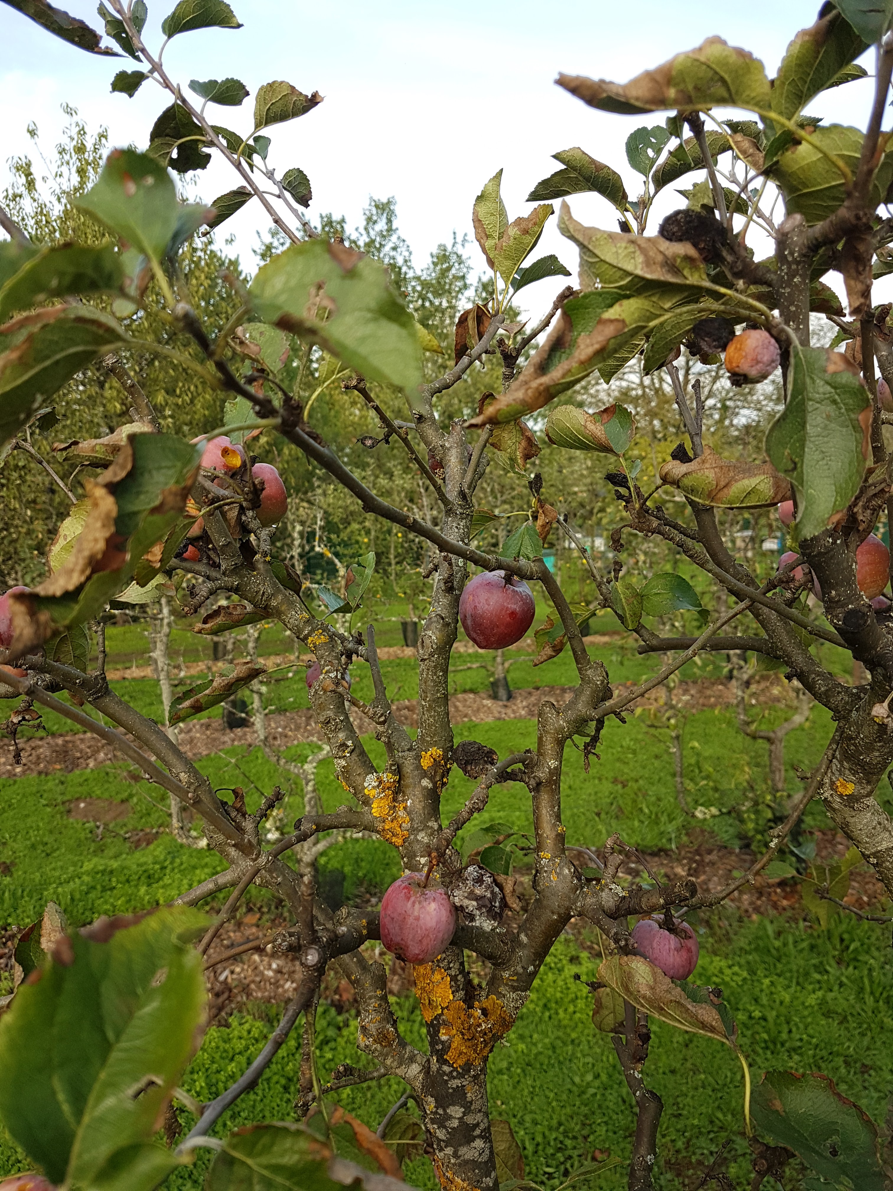 Photo n° 4 de l'avis de Yoann.u fait le 25/10/2019 à 10:32