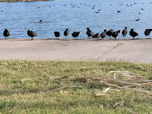Park «Cesar Chavez Park», reviews and photos, 7858 S 35th Ave, Laveen Village, AZ 85339, USA