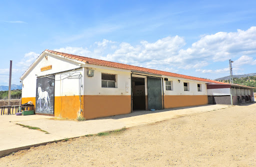 Hípica Guadalix | Escuela Equitación en Guadalix de la Sierra, Madrid