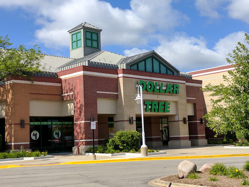 Dollar Store «Dollar Tree», reviews and photos, 1243 E Higgins Rd, Schaumburg, IL 60173, USA