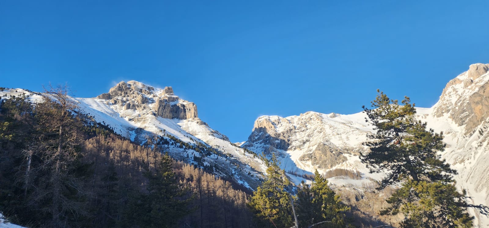 Photo n° 1 de l'avis de Guillaume.O fait le 18/01/2024 à 12:55
