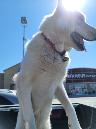 Pet Supply Store «Petco Animal Supplies», reviews and photos, 911 N Stratford Rd c, Moses Lake, WA 98837, USA