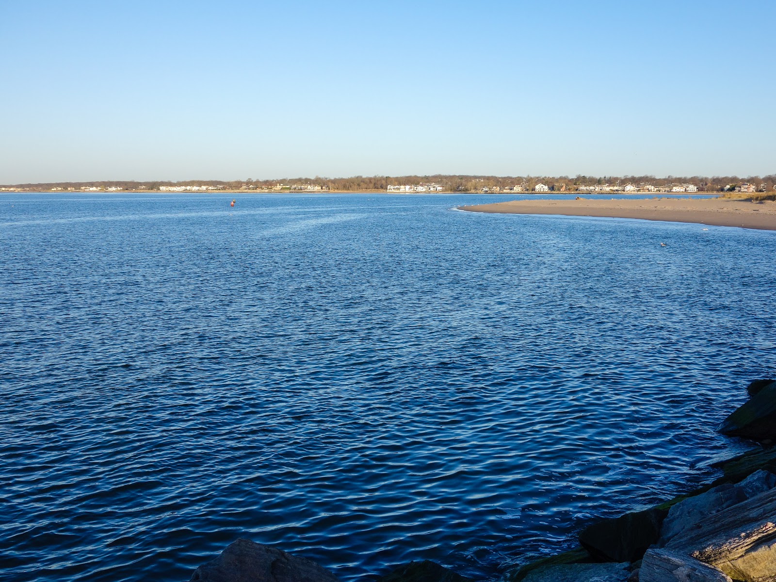Foto von Great Kills Beach mit lange, gerade küste