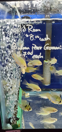 Aquarium «Tamco Aquarium», reviews and photos, 6310 Bay Pkwy, Brooklyn, NY 11204, USA