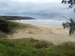 Photo de Ocean View Beach avec rivage droit, long