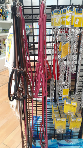 Pet Store «South Beach Pet Shop», reviews and photos, 634 6th St, Miami Beach, FL 33139, USA