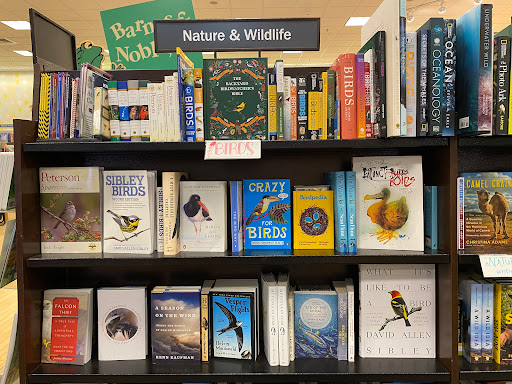 Book Store «Barnes & Noble», reviews and photos, 10280 Midtown Pkwy, Jacksonville, FL 32246, USA