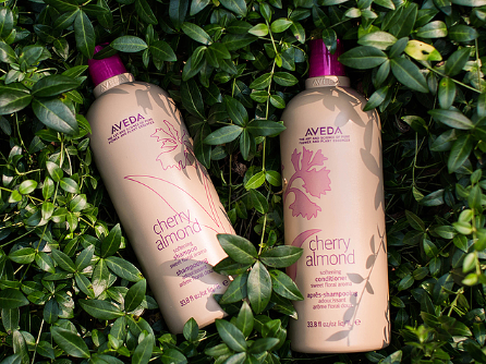 Beauty Salon «Le Reve Salon & Spa», reviews and photos, 780 Community Dr #4, North Liberty, IA 52317, USA