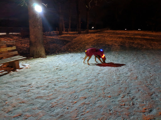 Dog Park «St. Anthony Parkway Off-Lease Dog Park», reviews and photos, 700 St Anthony Pkwy, Minneapolis, MN 55418, USA