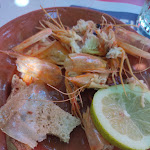 Photo n°21 de l'avis de SEAM. fait le 07/08/2021 à 16:38 sur le  Zé do Barco à Reguengos de Monsaraz