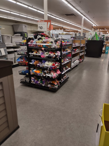 Discount Store «Big Lots», reviews and photos, 426 E Waterloo Rd, Akron, OH 44319, USA