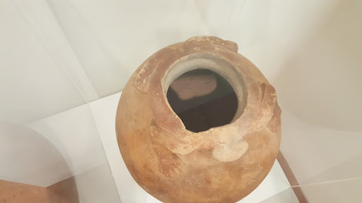 Art Museum «University of Kentucky Art Museum», reviews and photos, 405 Rose St, Lexington, KY 40508, USA