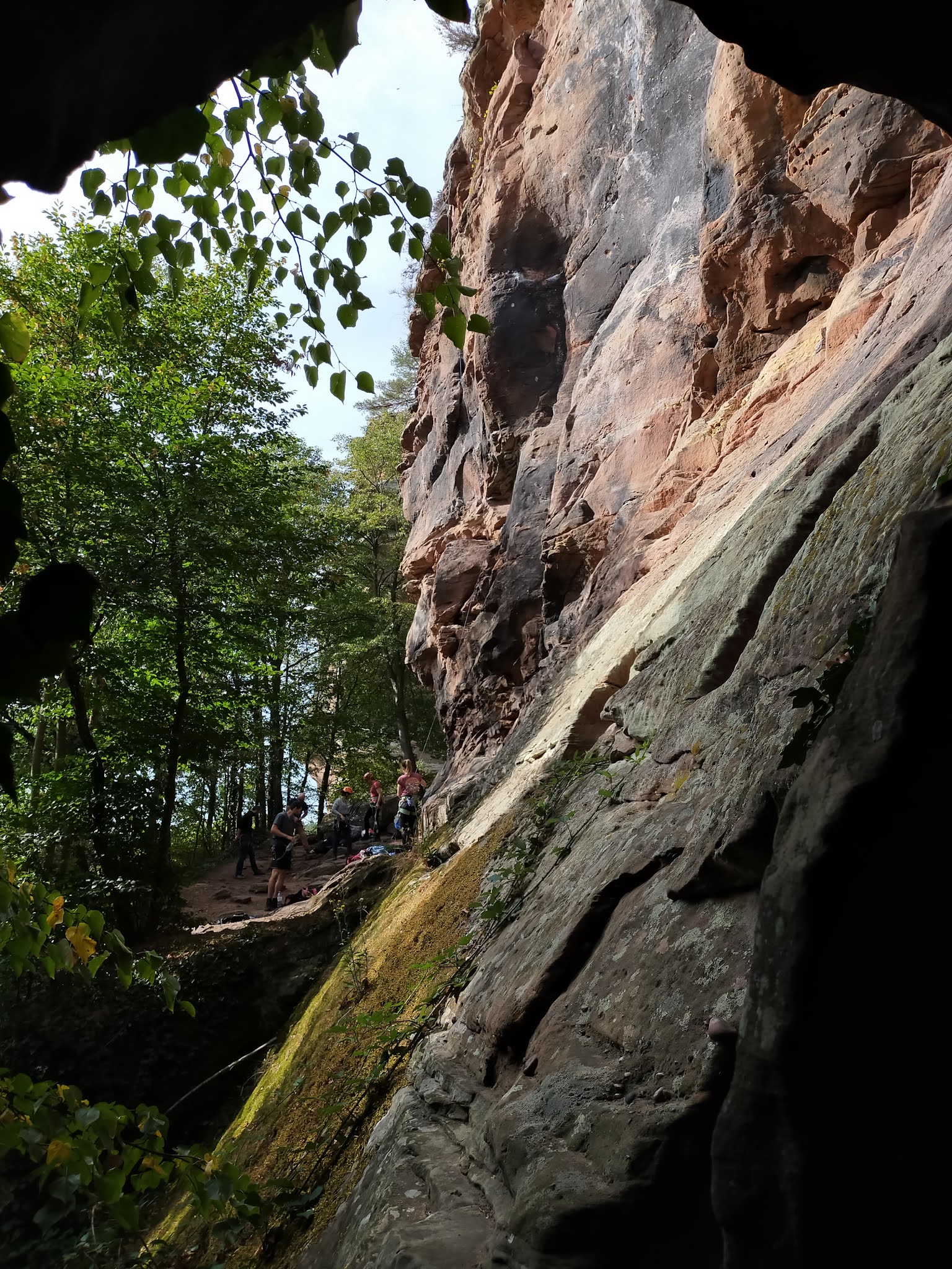 Photo n° 15 de l'avis de Julien.o fait le 30/09/2020 à 16:17