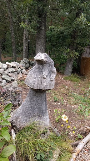 Science Museum «South Shore Natural Science Center», reviews and photos, 48 Jacobs Ln, Norwell, MA 02061, USA