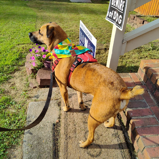 Pet Supply Store «PetSmart», reviews and photos, 3803 Venture Dr, Duluth, GA 30096, USA