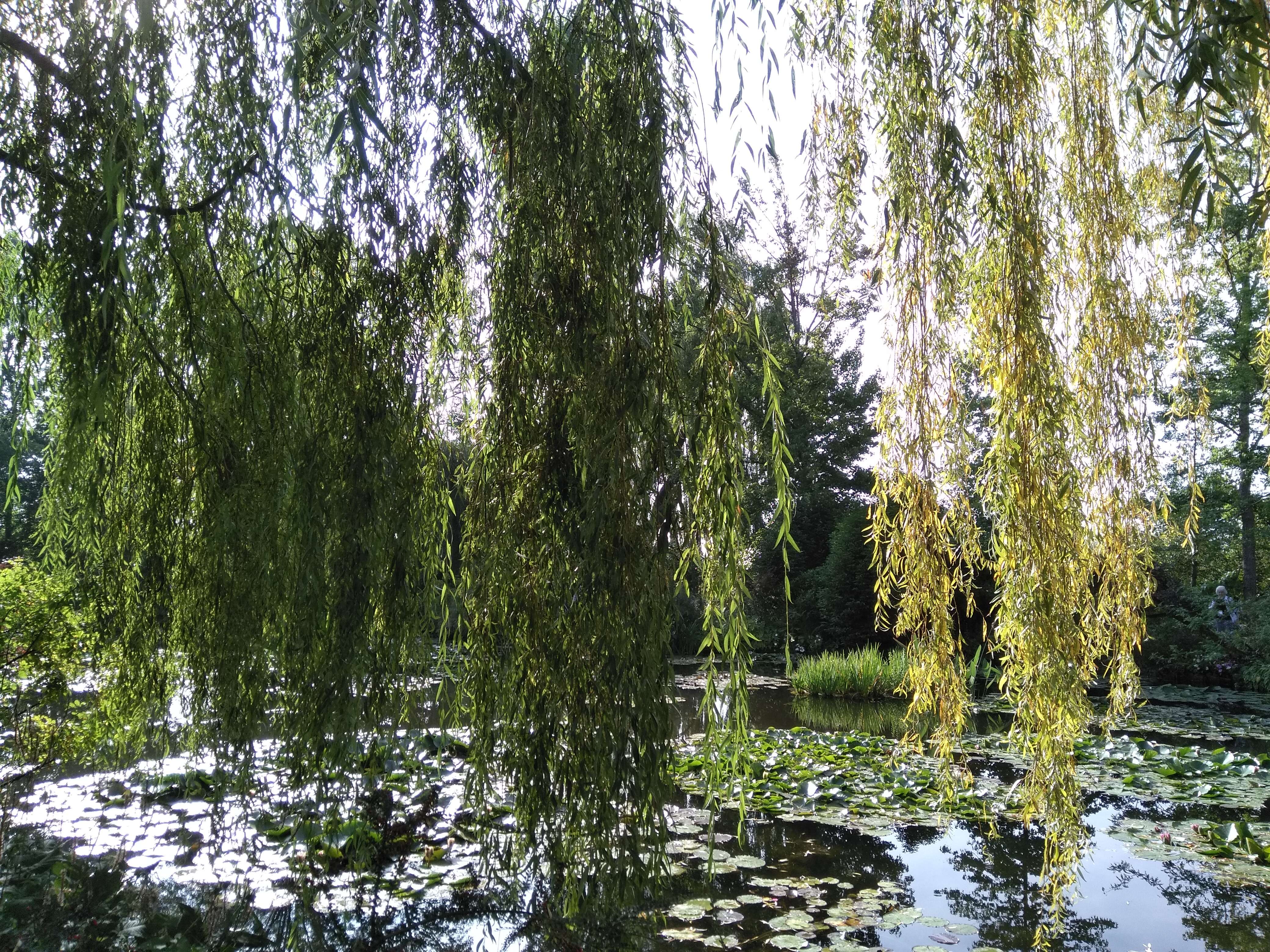 Photo n° 1 de l'avis de Emmanuel.o fait le 14/09/2019 à 14:20