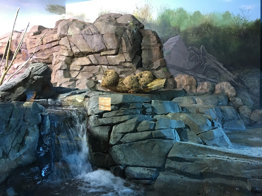 Aquarium «Loveland Living Planet Aquarium», reviews and photos, 12033 Lone Peak Pkwy, Draper, UT 84020, USA