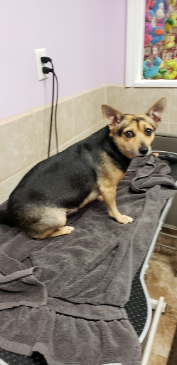 Pet Adoption Service «Pet Things», reviews and photos, 6880 Douglas Blvd E, Douglasville, GA 30135, USA