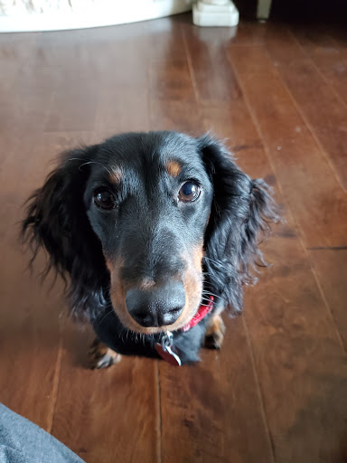 1234 S Wadsworth Blvd, Lakewood, CO 80232, USA