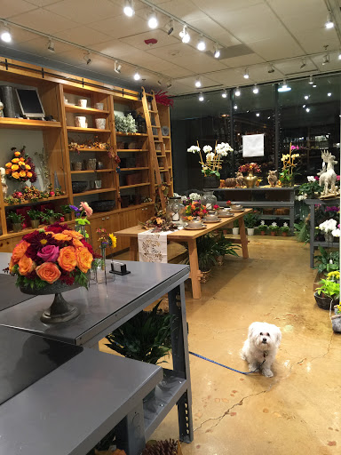 Florist «Florals By Mary Celeste», reviews and photos, 610 Central Ave #160, Highland Park, IL 60035, USA