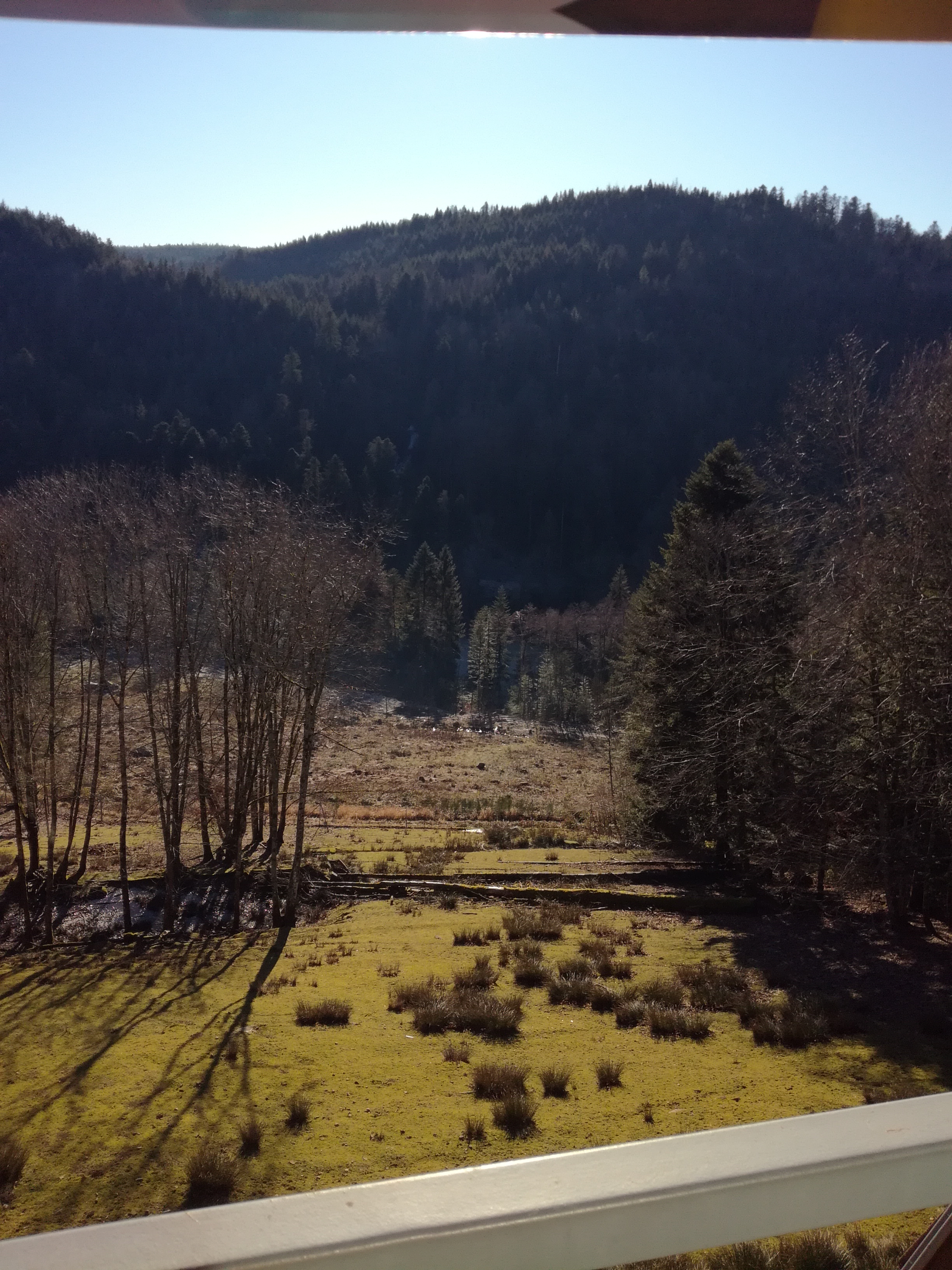 Photo n° 2 de l'avis de julien.e fait le 21/04/2021 à 21:05