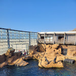 Photo n° 1 de l'avis de JM'Debrouille.a fait le 09/03/2024 à 18:23 pour Nausicaa Centre National De La Mer à Boulogne-sur-Mer