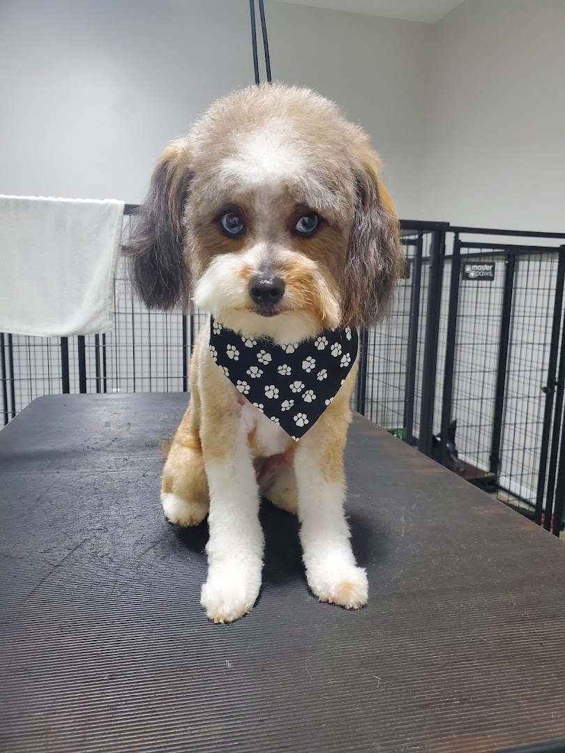 Wagging Tails Grooming LLC