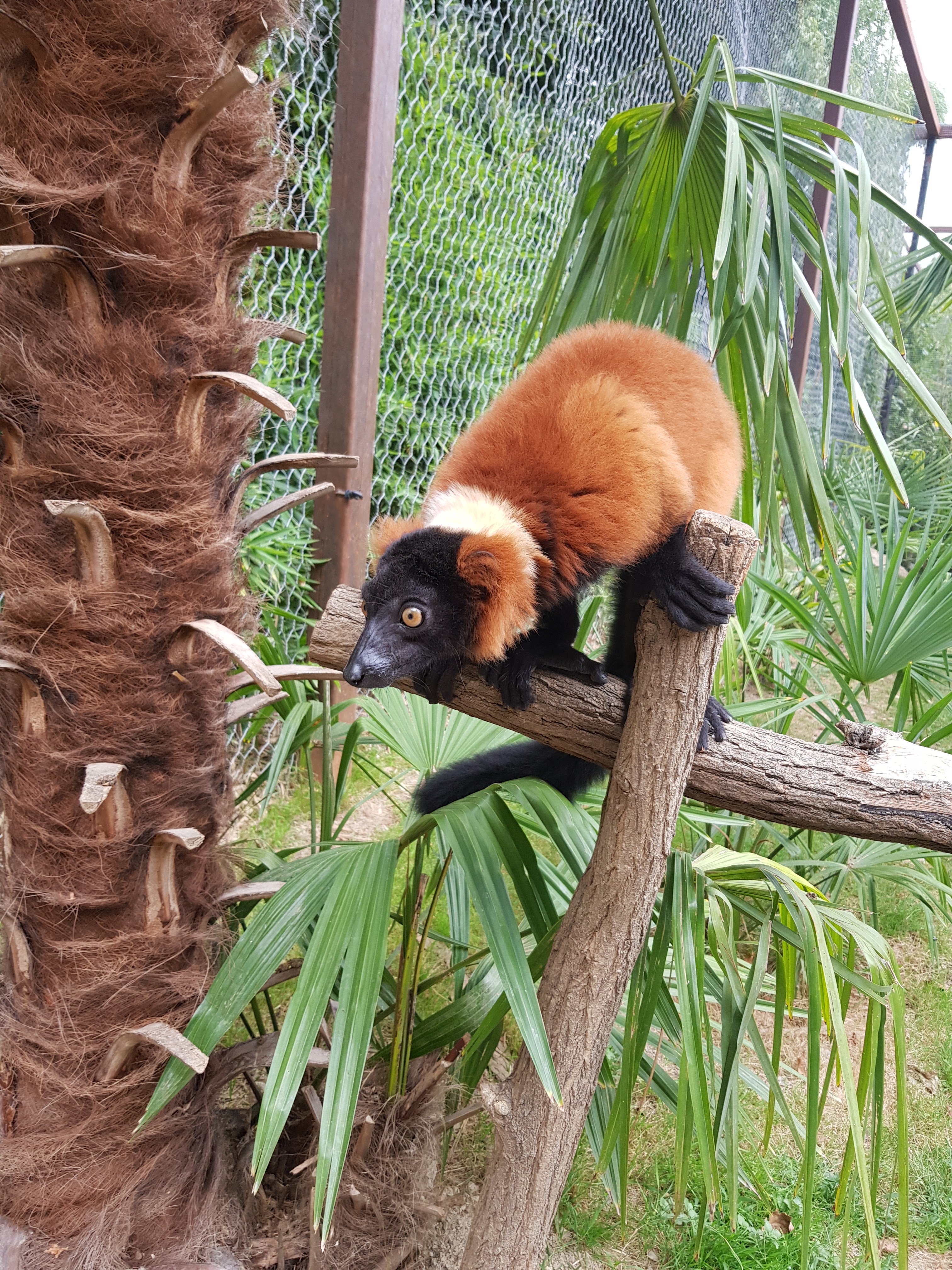 Photo n° 7 de l'avis de King.t fait le 15/09/2021 à 12:05