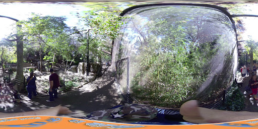 Transit Stop «Dallas Zoo Station», reviews and photos, 614 S. Ewing Avenue, Dallas, TX 75203, USA