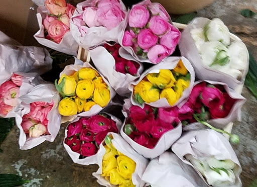 Florist «Countryside Floral & Garden», reviews and photos, 1420 NW Gilman Blvd #1, Issaquah, WA 98027, USA