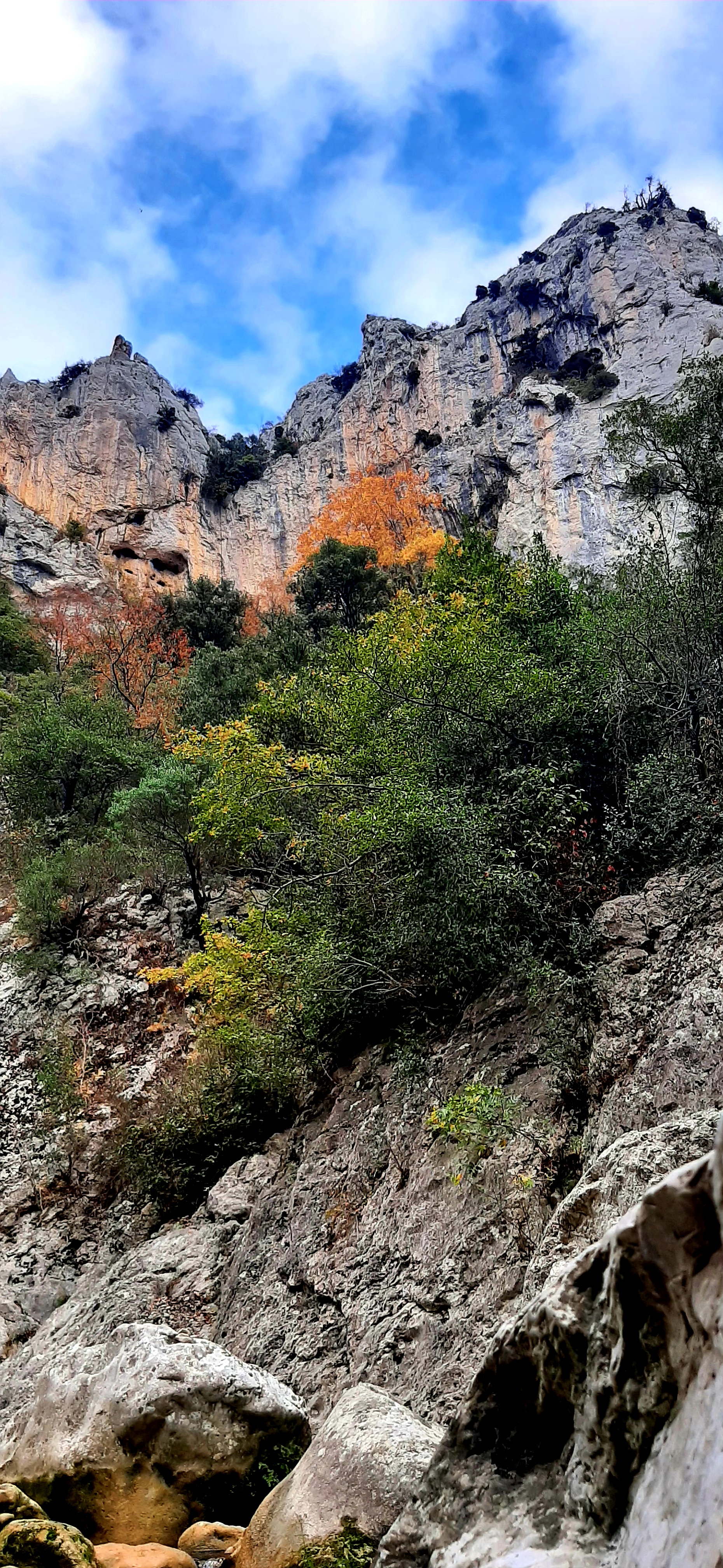 Photo n° 18 de l'avis de Sabine.i fait le 17/11/2022 à 19:51
