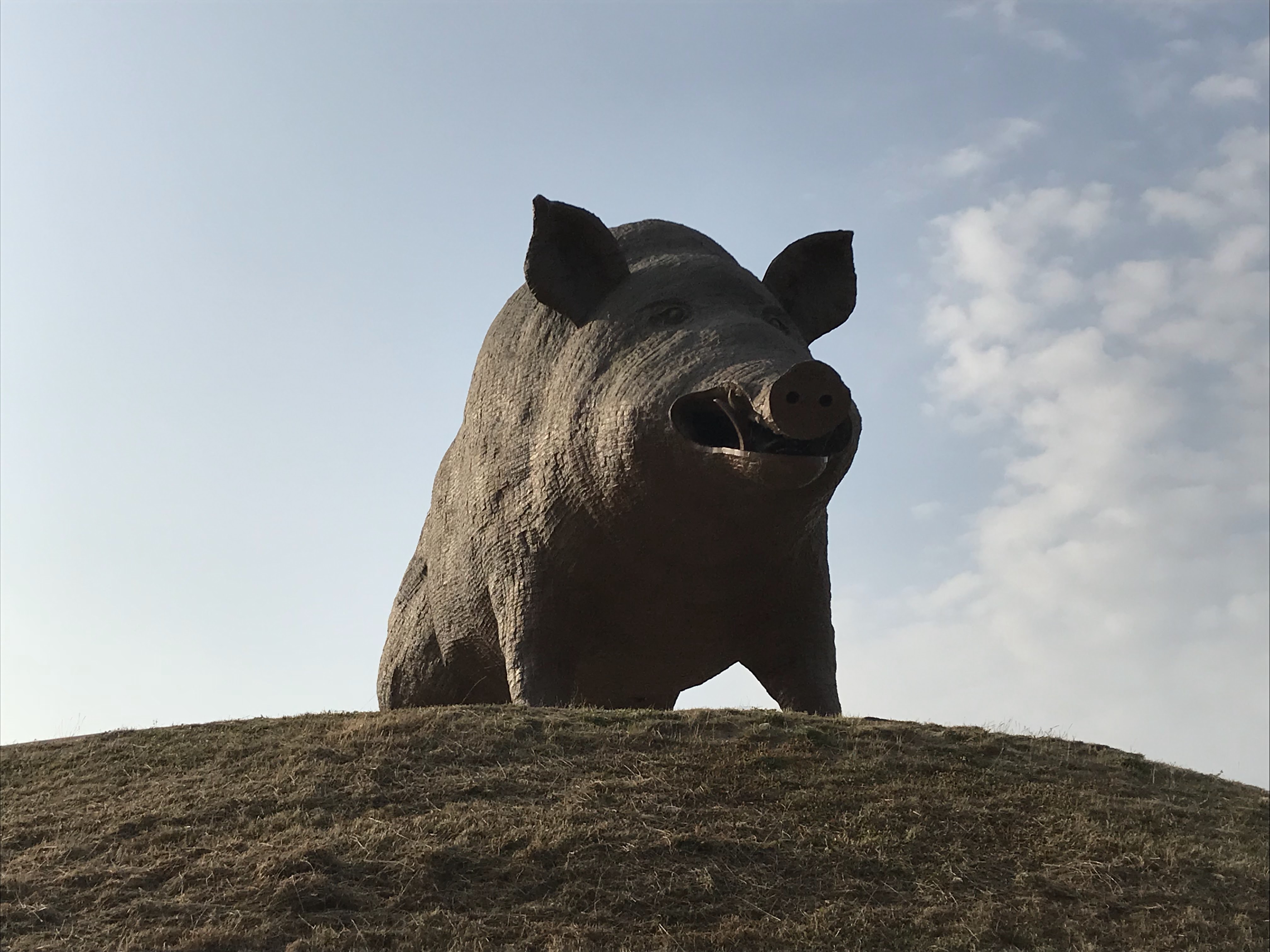 Photo n° 1 de l'avis de E. fait le 01/07/2018 à 13:42