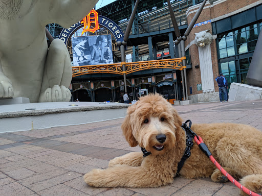 Stadium «Comerica Park», reviews and photos, 2100 Woodward Ave, Detroit, MI 48201, USA