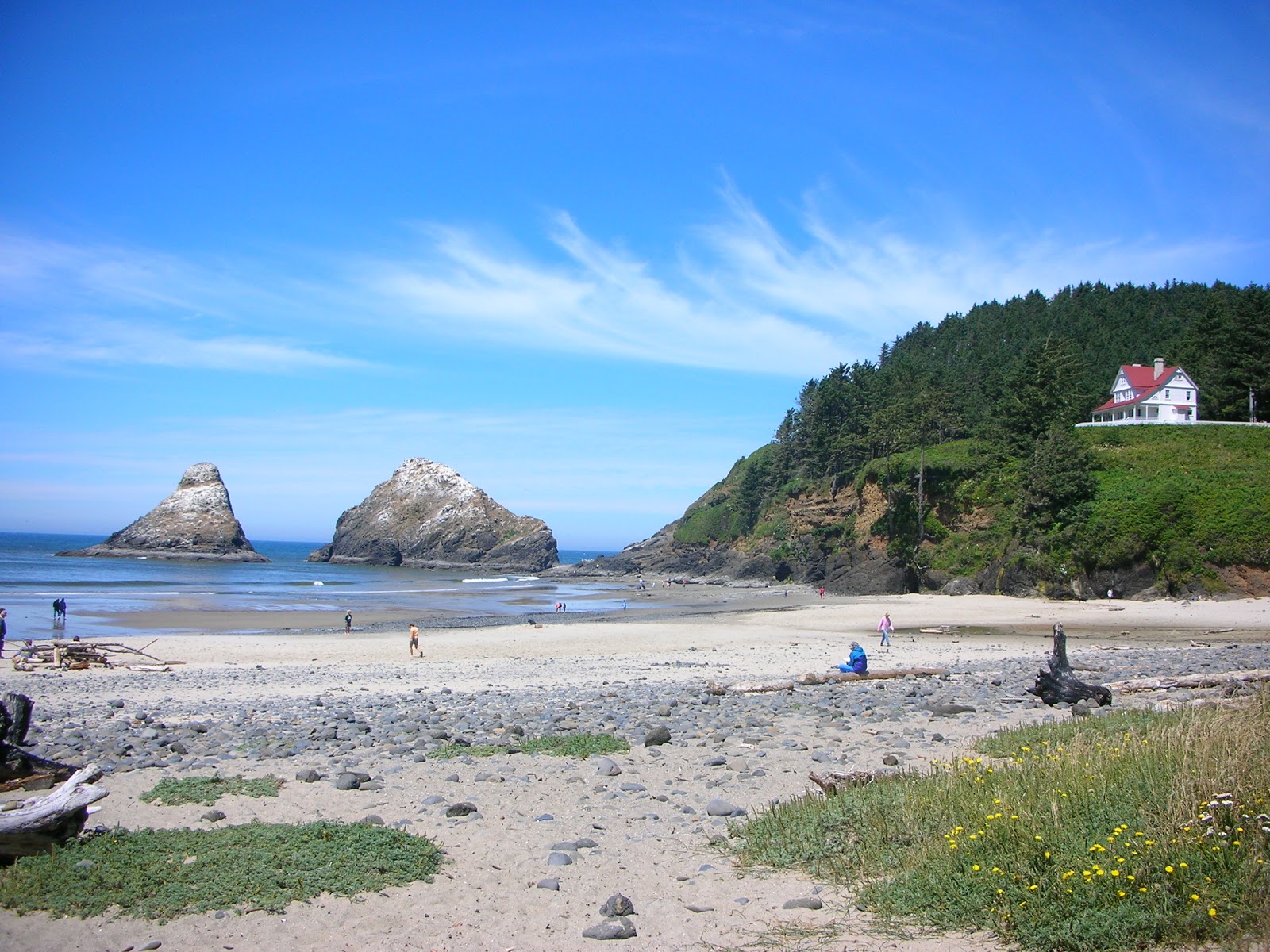 Φωτογραφία του Heceta Head Beach με επίπεδο καθαριότητας πολύ καθαρό